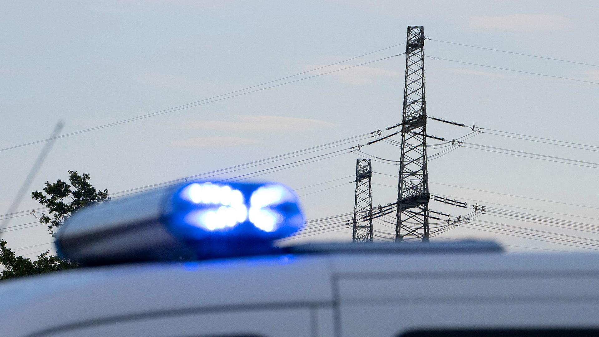 Ein Polizeiauto ist vor einer Hochspannungsleitung zu sehen (Quelle: picture alliance/dpa/M.Lenhardt) | picture alliance/dpa/M.Lenhardt