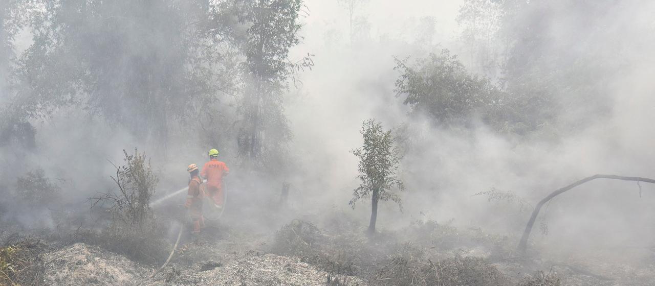 Feuerwehrleute bei einem Waldbrand in Indonesien.