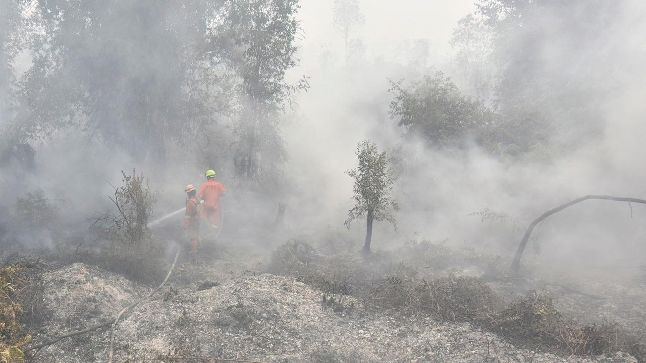 Hunderttausende Hektar Wald brennen in Indonesien