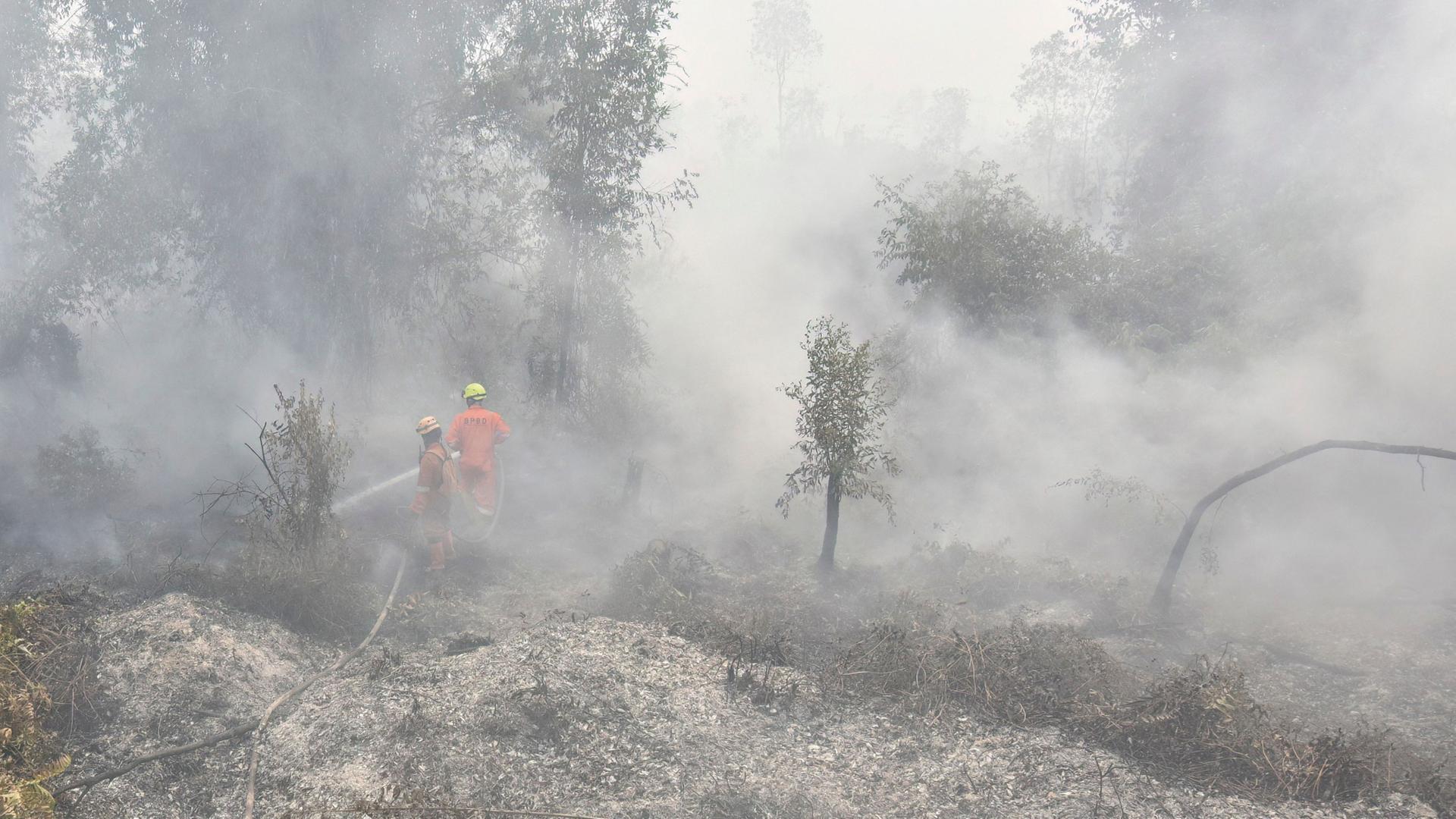 Feuerwehrleute bei einem Waldbrand in Indonesien. | AFP
