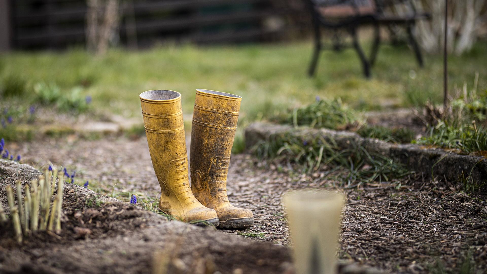 Herbst im Garten — was gibt's noch zu tun?