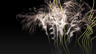 Ein Feuerwerk vor dunklem Himmel.