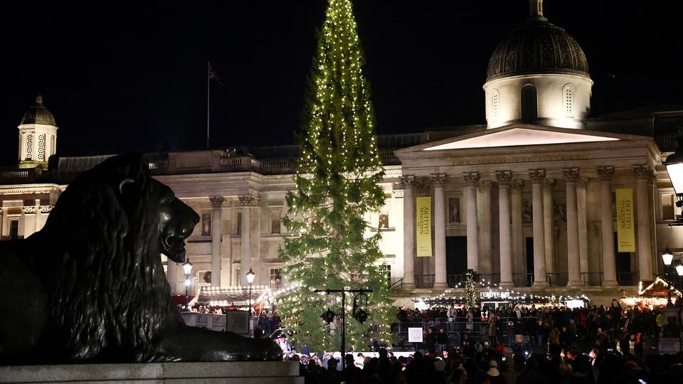 Weihnachtsbaum in London: Eine 20 Meter hohe und kahle Fichte |  tagesschau.de