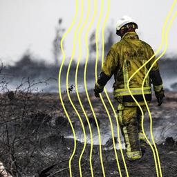 Feuerwehrleute bekämpfen ein Feuer im Naturreservat Hohes Venn.