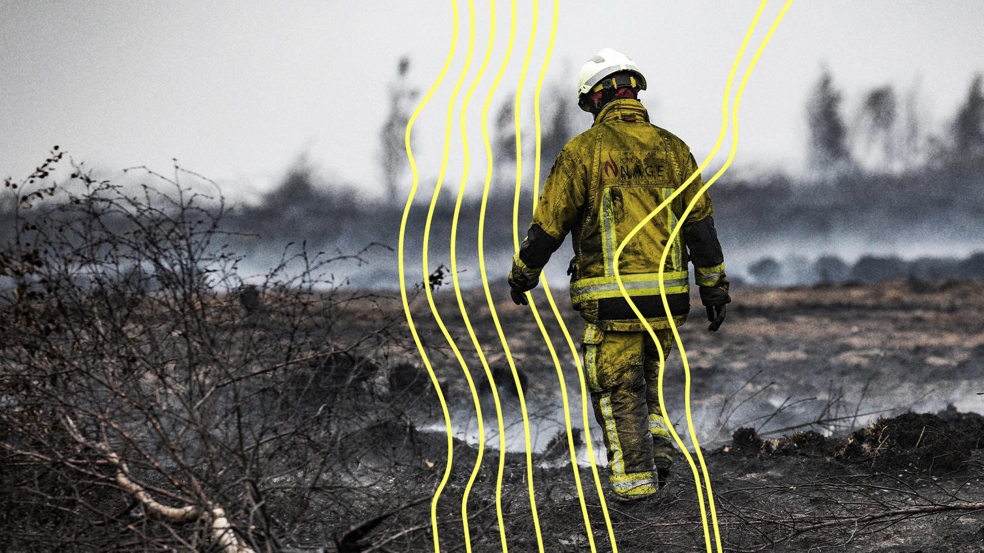 Feuerwehrleute bekämpfen ein Feuer im Naturreservat Hohes Venn. | picture alliance / BRUNO FAHY, BRUNO FAHY