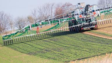 Ein Landwirt düngt mithilfte der Schleppschlauchtechnik ein Feld.