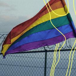 Eine LGBTQ+-Flagge, die im Wind weht, mit einem Stacheldrahtzaun im Hintergrund