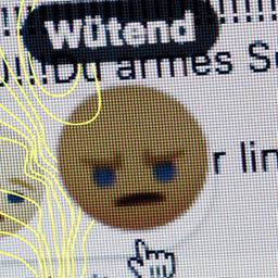 Beschimpfungen im Netz