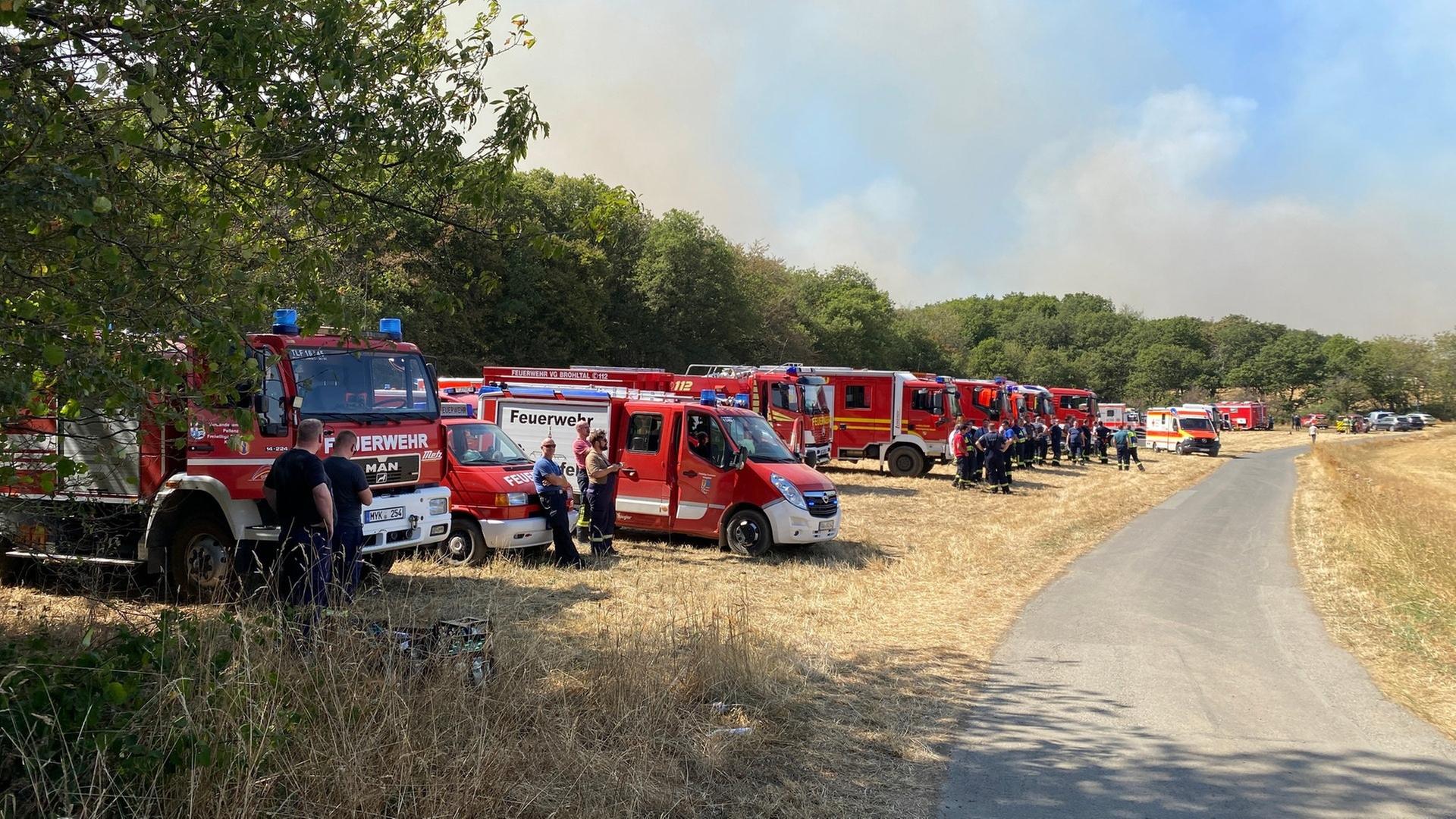 Liveticker zum Waldbrand in der Vordereifel: Keine weiteren Evakuierungen