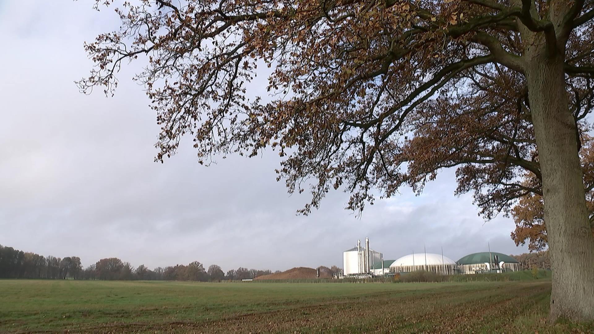 Biogasanlage in Wolfshagen | rbb