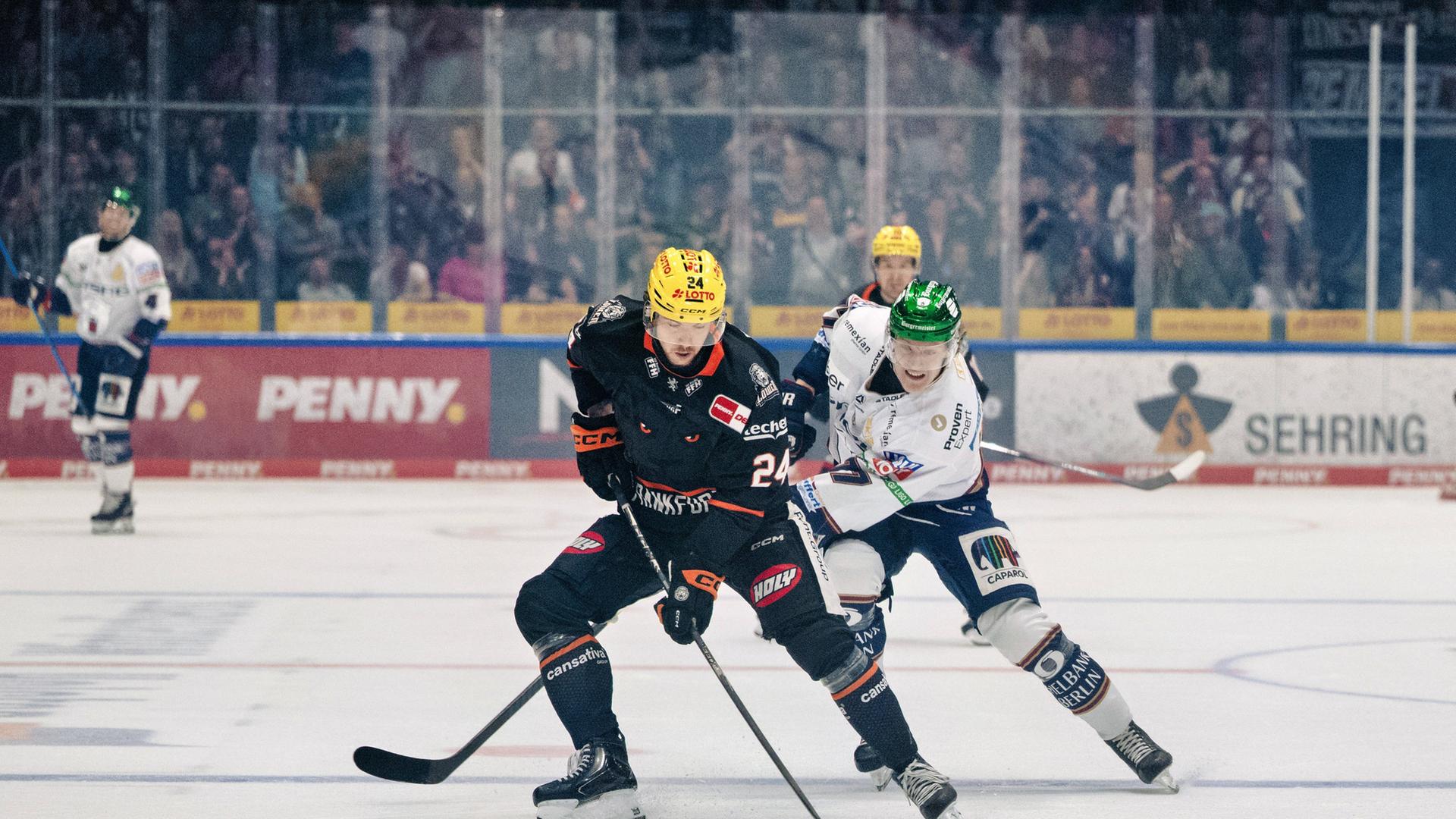 Die Löwen lieferten den Eisbären einen harten Fight. | IMAGO