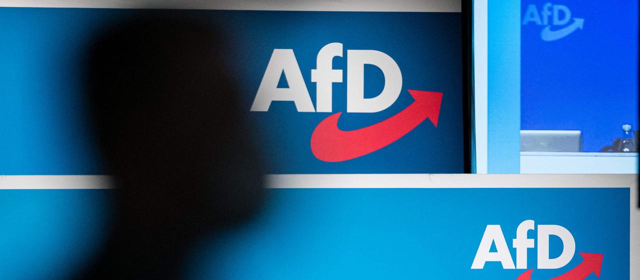 Anhänger der AfD demonstrieren am Brandenburger Tor in Berlin | AFP Anhänger der AfD demonstrieren am Brandenburger Tor in Berlin