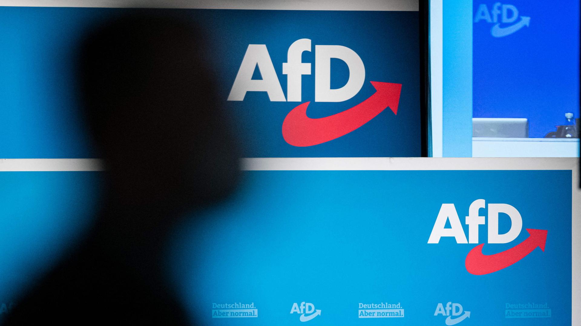 Anhnger der AfD demonstrieren am Brandenburger Tor in Berlin | AFP