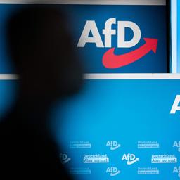 Anhänger der AfD demonstrieren am Brandenburger Tor in Berlin