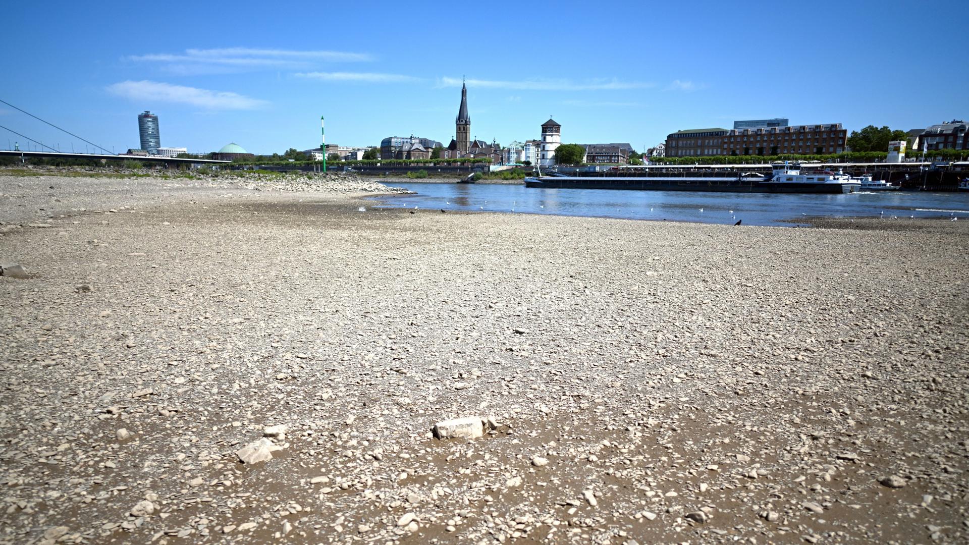 Ein Schiff fährt bei niedrigem Wasserstand auf dem Rhein in Düsseldorf, Nordrhein-Westfalen. | Federico Gambarini/dpa