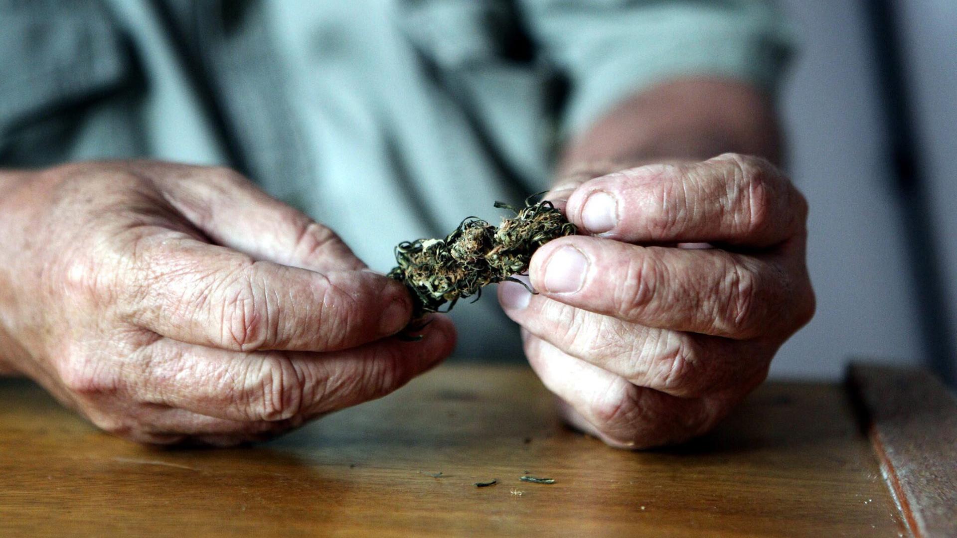 Warum Cannabis bei Senioren beliebter wird