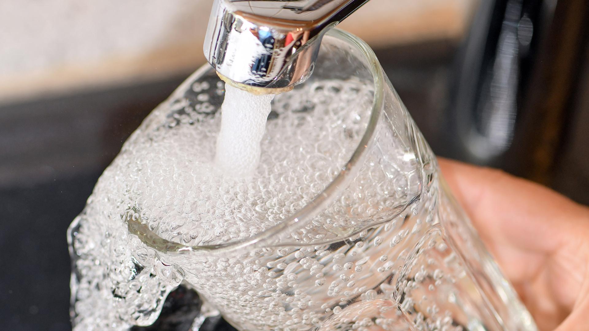 Ein Glas wird unter einem Wasserhahn befüllt. | dpa