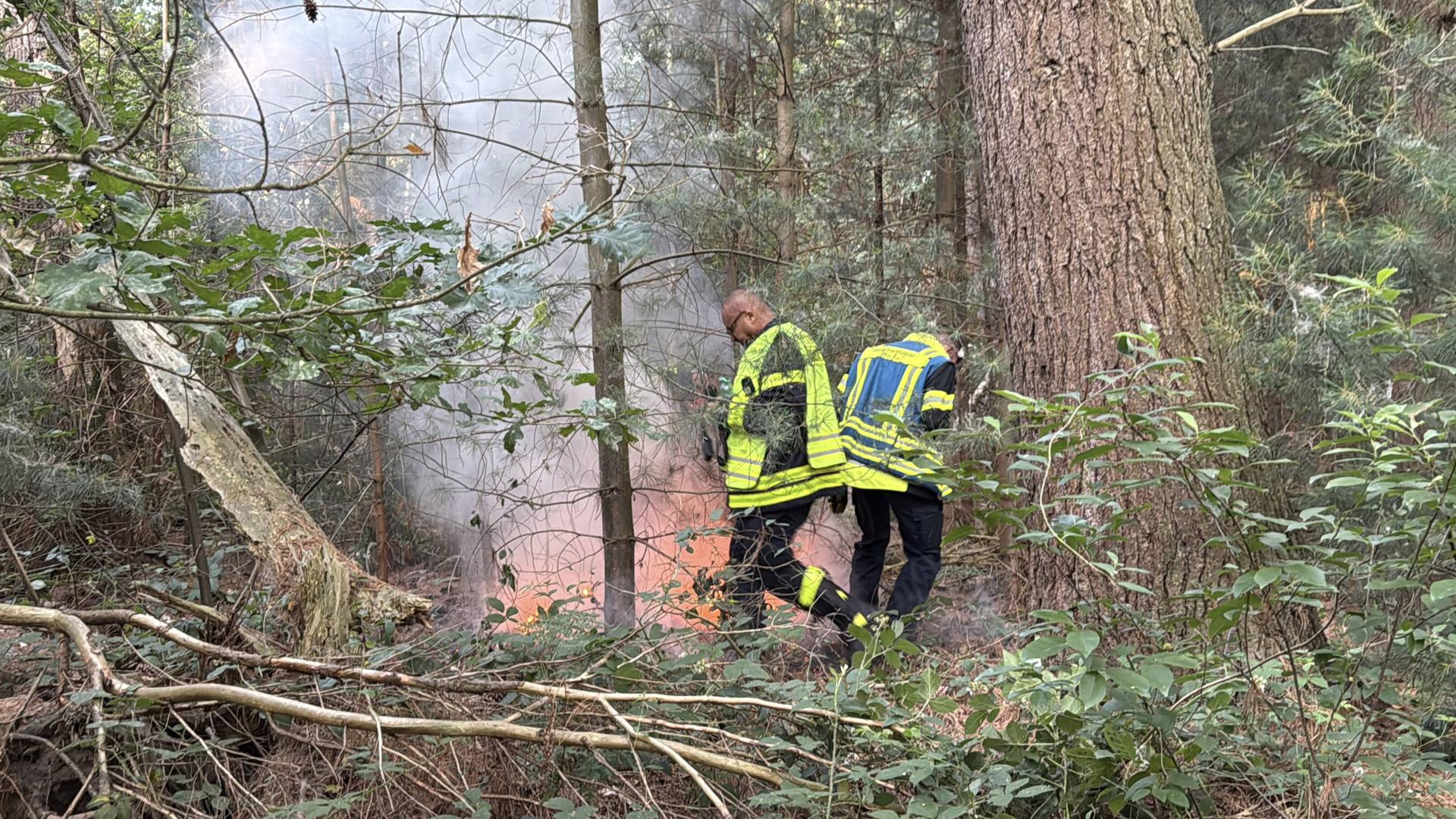Waldbrand in der Haard