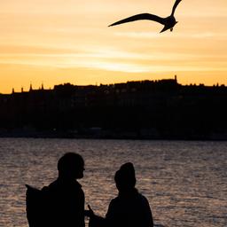 Ein Paar guckt sich einen Sonnenuntergang in Stockholm (Schweden) an.