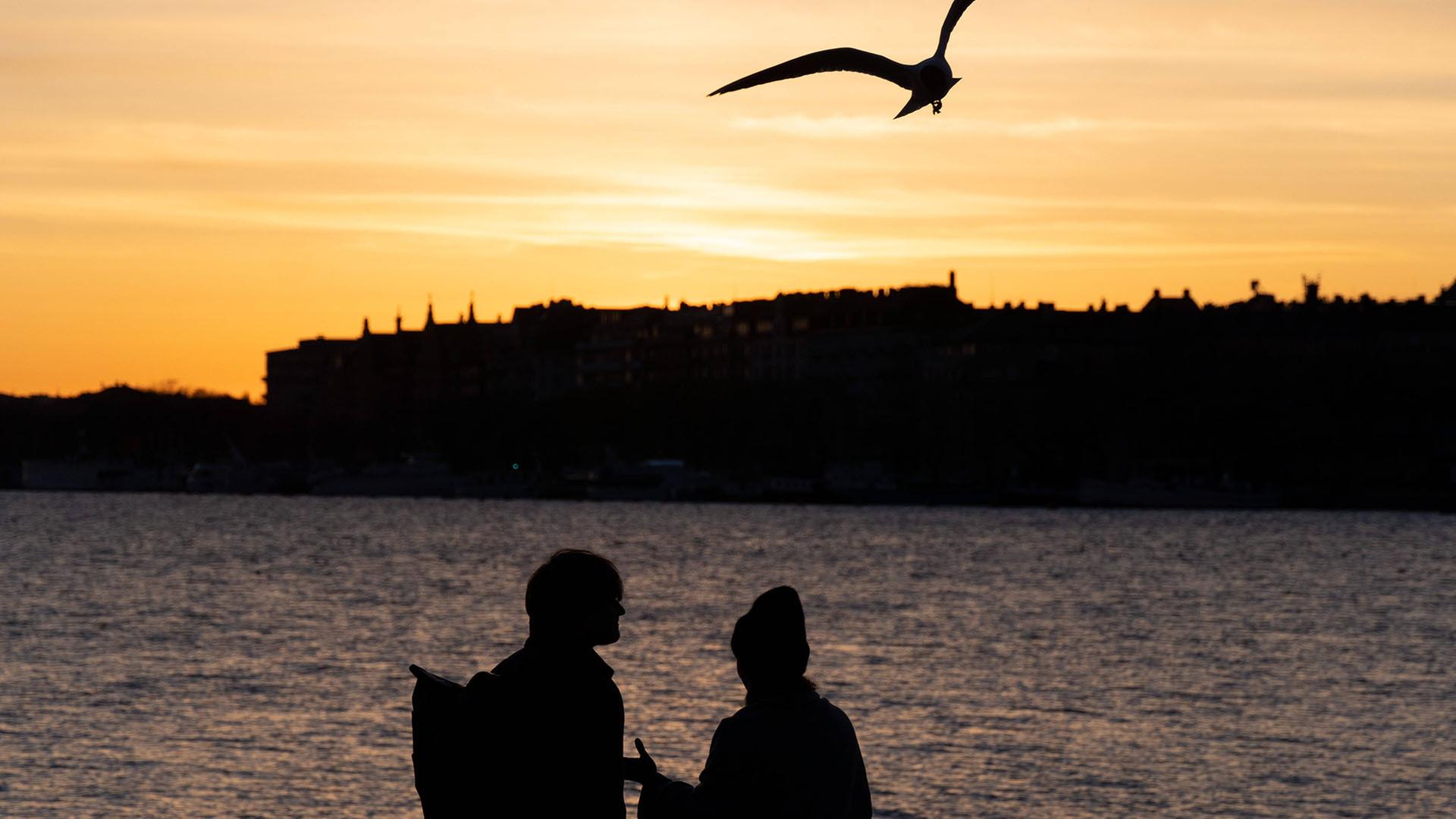 Ein Paar guckt sich einen Sonnenuntergang in Stockholm (Schweden) an. | IMAGO/ZUMA Press Wire