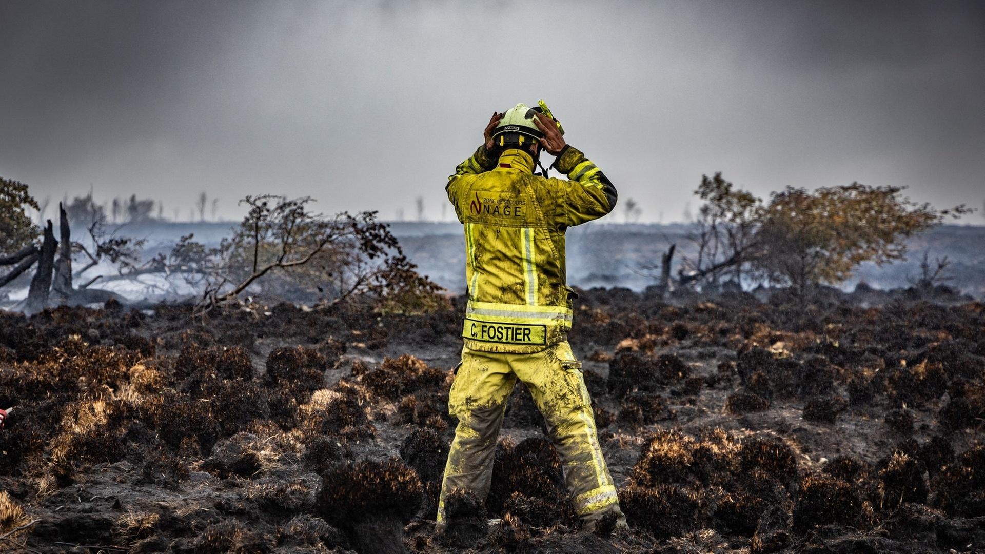 Experte: Neue Methoden der Waldbrandbekämpfung müssen her