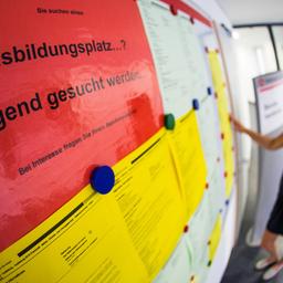 Eine junge Frau schaut sich Aushänge mit freien Ausbildungsplätzen an.