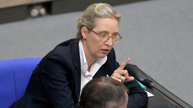 Alice Weidel - aktuelle Nachrichten | tagesschau.de
