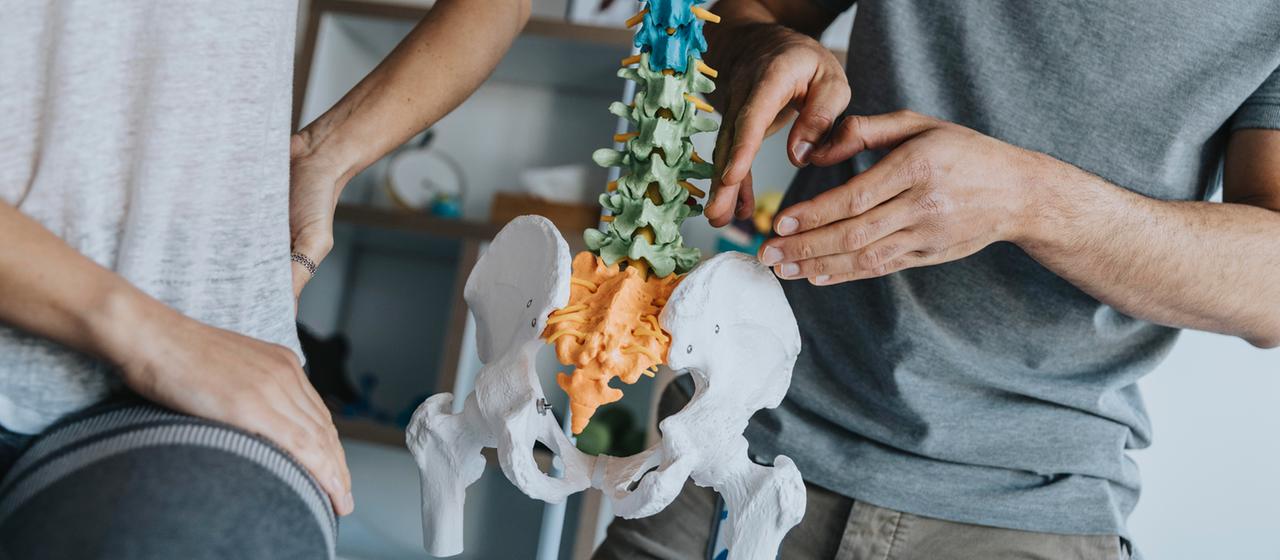 Hände eines Physiotherapeuten weisen auf ein Skelettmodell, daneben sind Hände eines Mannes zu sehen, die in den unteren Rücken und auf den Oberschenkel fassen.