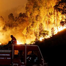 Ein Feuerwehrmann in Portugal