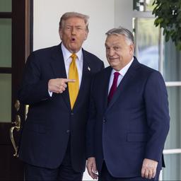 Donald Trump und Viktor Orban posieren vor dem Eingang des Weißen Hauses.