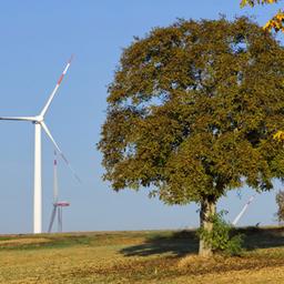 Windräder stehen hinter einer Baumgruppe