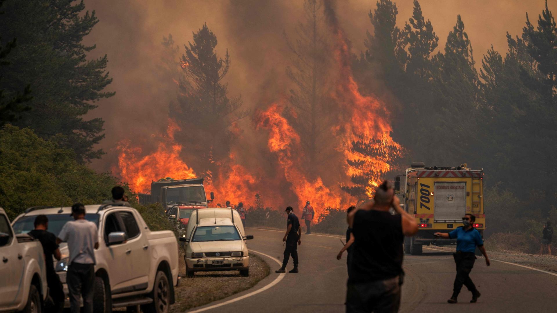 Feuerwehrleute bekämpfen Waldbrände in Patagonien | AFP