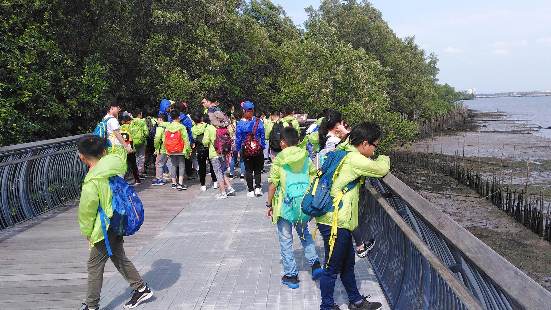 Eine Gruppe von Schulkindern auf einem Holzsteg entlang der Küste im Feuchtgebietsreservat Sungei Buloh in Singapur. | IMAGO/Dreamstime