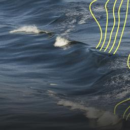 Nahaufnahme von Wellen auf der Ostsee.