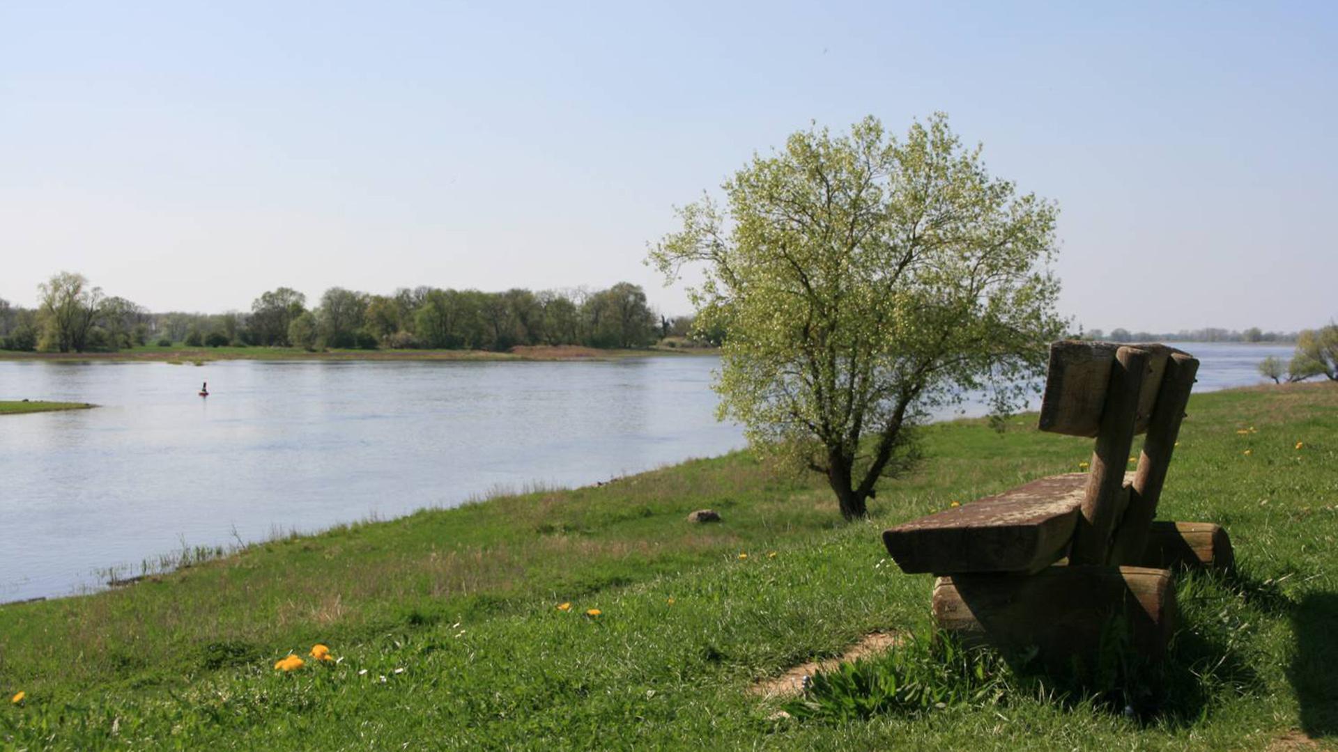 Aussichtspunkt am Gnevsdorfer Wehr. (Quelle: Tourismusverband Prignitz/Markus Tiemann) | Tourismusverband Prignitz/Markus Tiemann