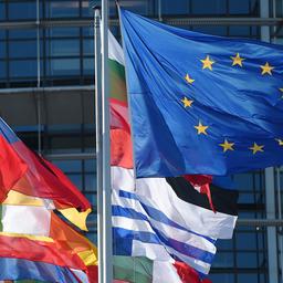 Flaggen wehen vor dem Gebäude des EU-Parlaments in Straßburg.