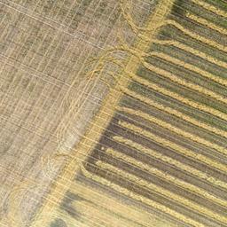 Luftaufnahme eines Feld, auf dem durch die Ernte grafische Strukturen entstanden sind.