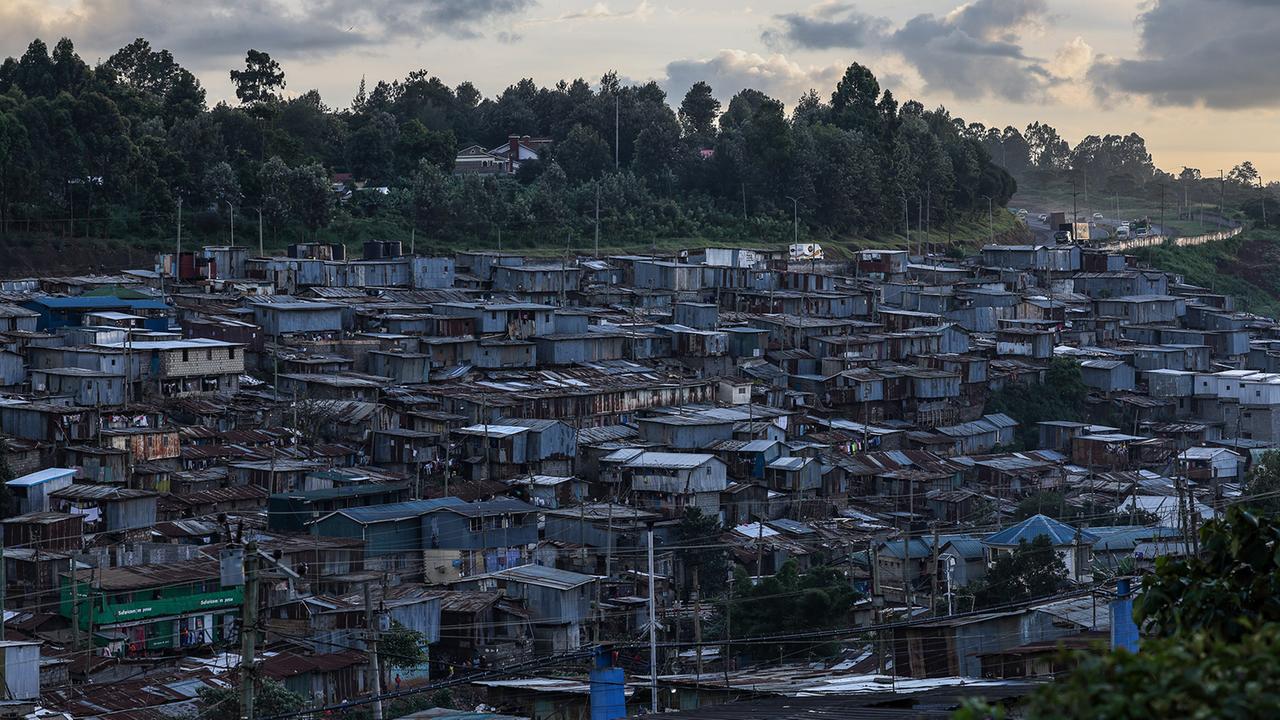 Kibera-Slum in Nairobi, Oliv-Bastardschildkröte, Ausstellung im Louvre