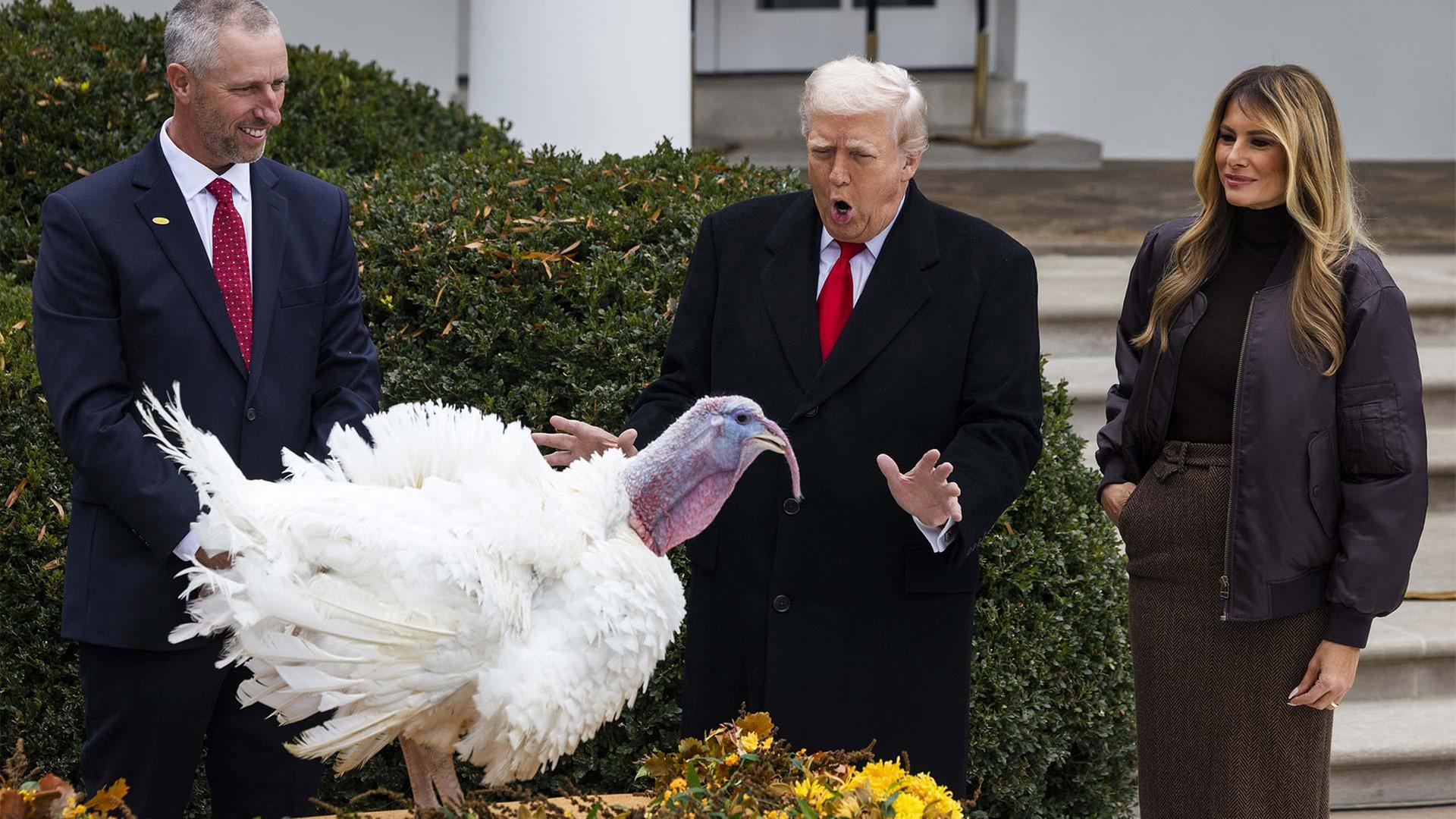Donald Trump, Melania Trump und ein Truthahn vor dem Weißen Haus. | picture alliance / Captital Pict