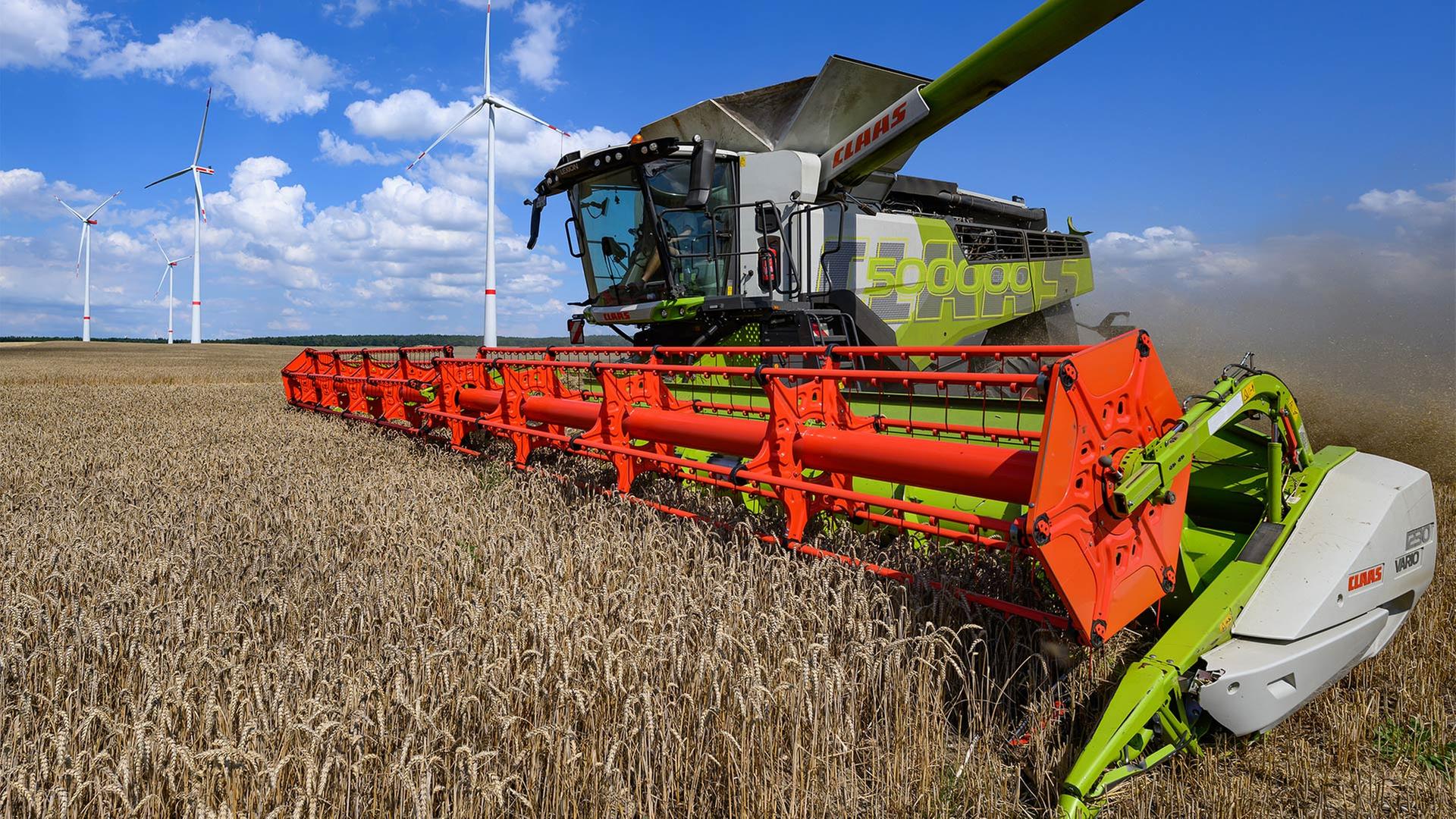 Getreideernte in Brandenburg. | picture alliance/dpa