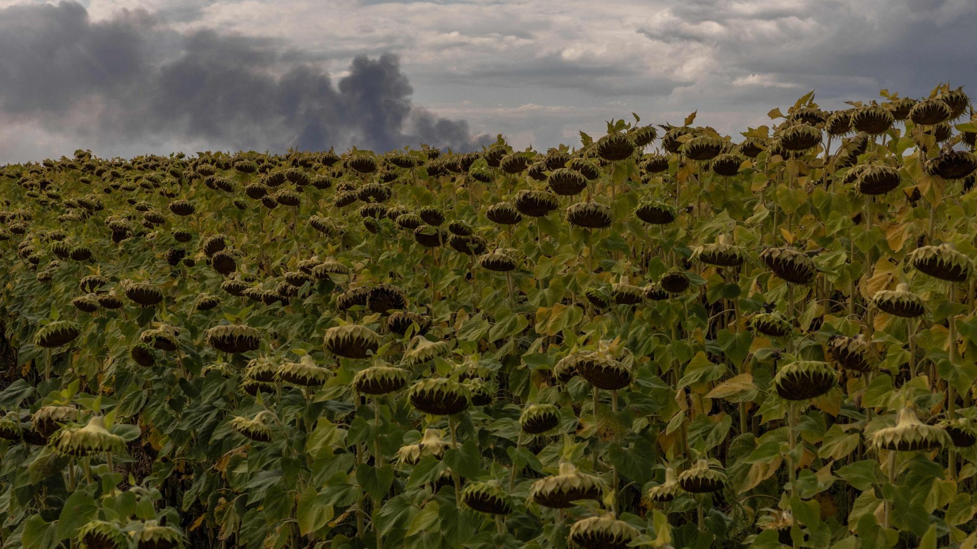 Ukrainische Wirtschaft durch Krieg unter Druck