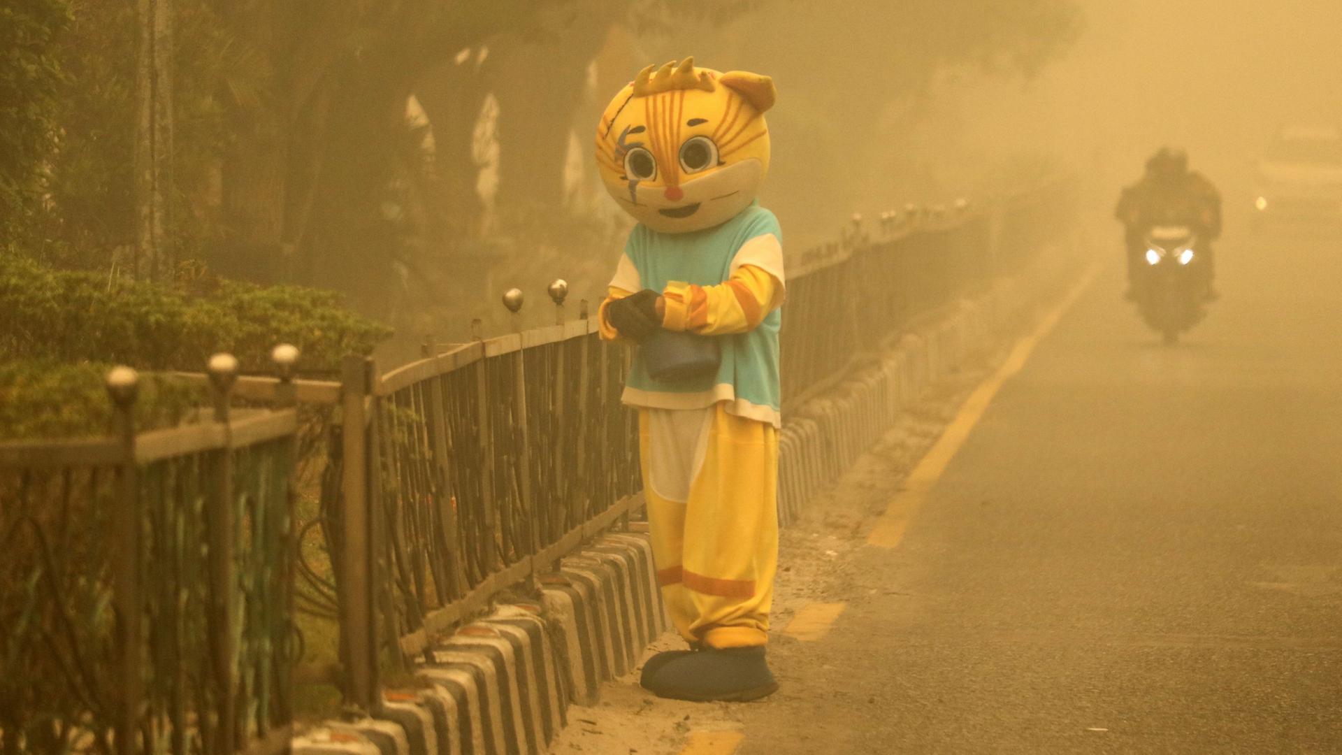 Eine Person in einem TigerkostÃ¼m steht an einer Ampel in der indonesischen Region Palangkaraya. | AFP