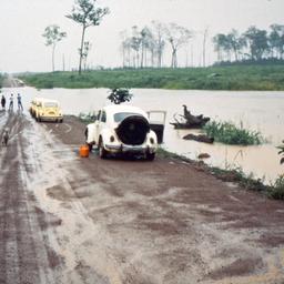 Eine überflutete Straße mit mehreren VW Käfer in einer ehemals zum VW-Konzern gehörende Farm in Brasilien.