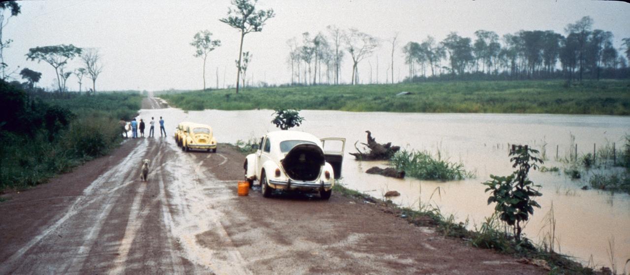 Eine überflutete Straße mit mehreren VW Käfer in einer ehemals zum VW-Konzern gehörende Farm in Brasilien.