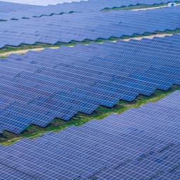 Solarmodule stehen in der größten Agri-PV-Anlage ihrer Art in Deutschland in Tützpatz