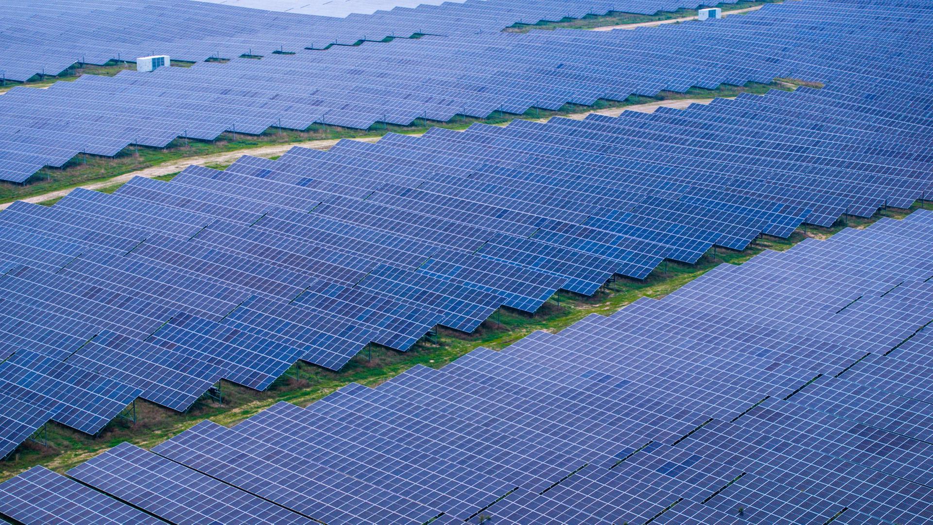 Hitzeschutz-Debatte: Gehen Klimapläne und Wachstum zusammen?