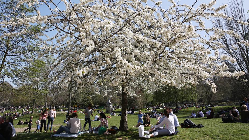 Menschen picknicken in einem Park in Paris
