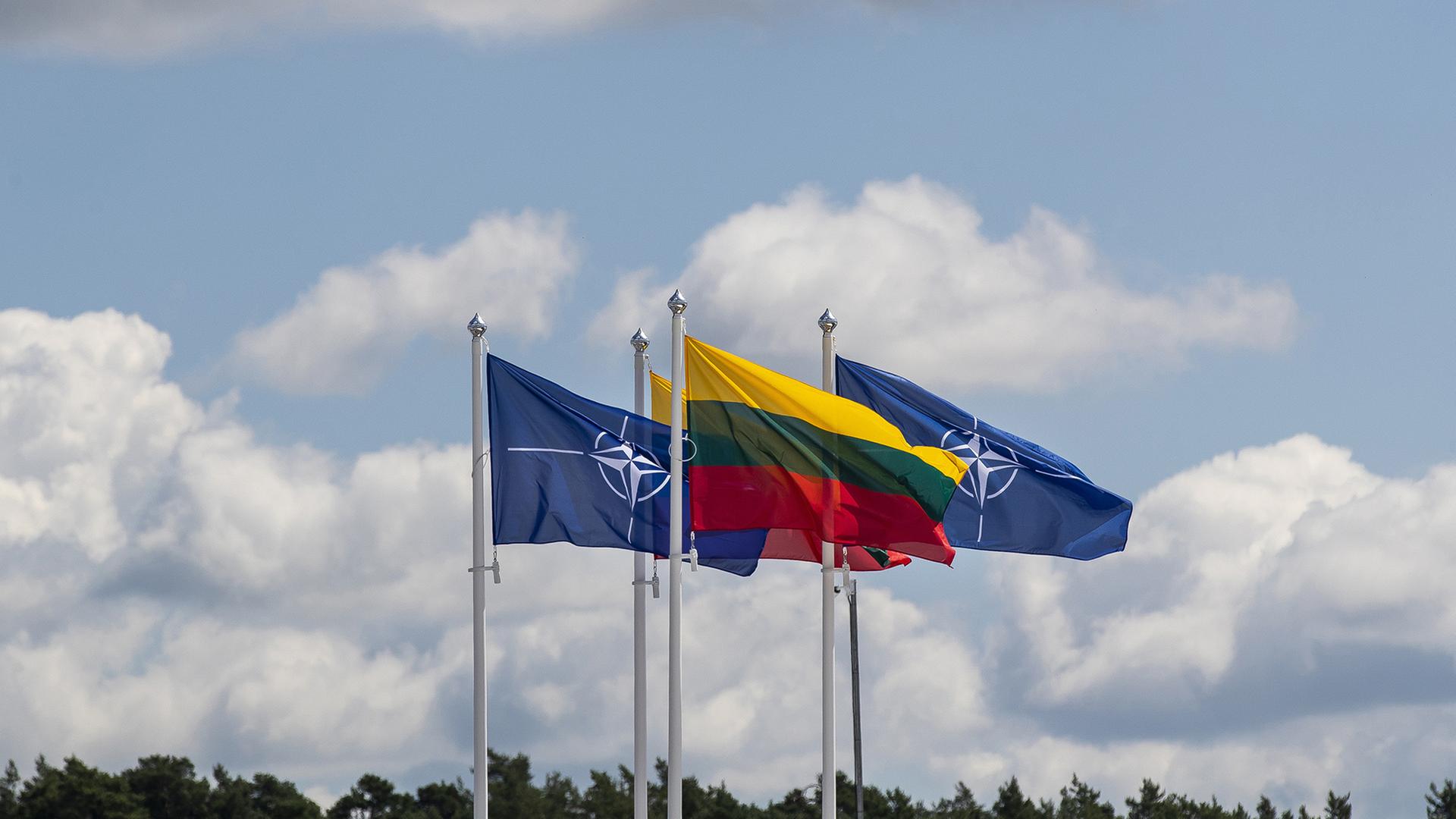 Litauische Flagge | dpa