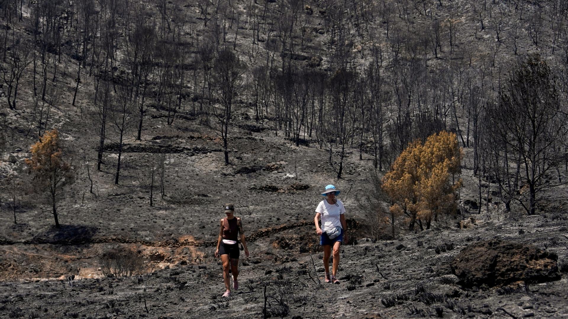 Verbrannte Landschaft nach dem Waldbrand bei Almería