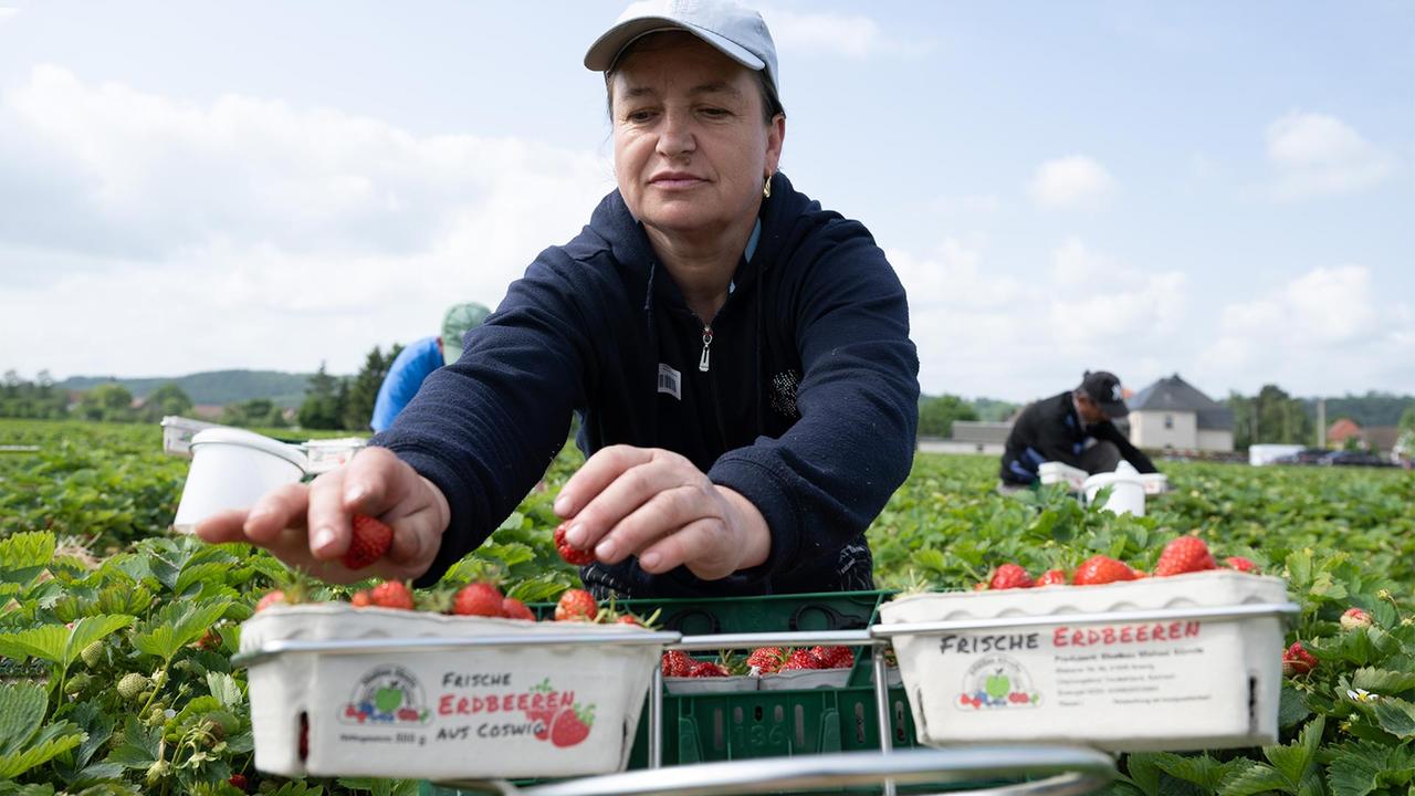 Wie der Mindestlohn zustande kommt Wie der Mindestlohn zustande kommt